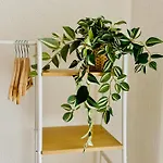 Staynature App - 3 Bedroom - Modern, Ruhig, Zentral *